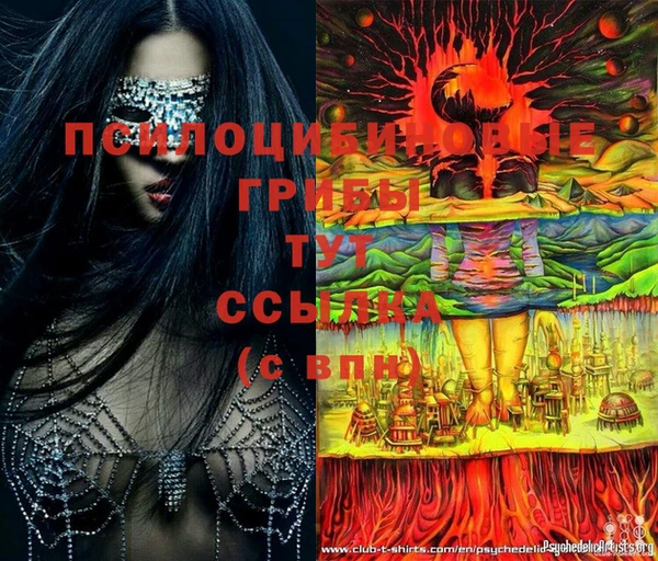 тгк Белокуриха