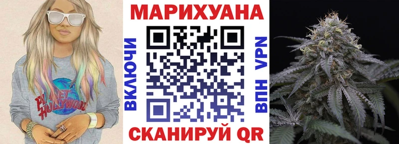 Купить где Губкинский Каннабис планчик